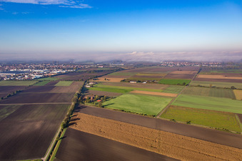 Vue aérienne de Bürstadt dans le département Hesse, Allemagne