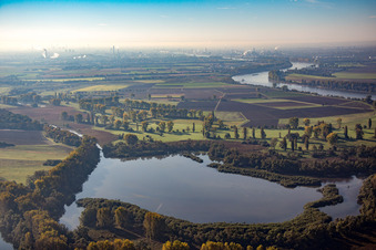 Vue aérienne de Lampertheimer Althrein au Welschen Loch à Lampertheim dans le département Hesse, Allemagne