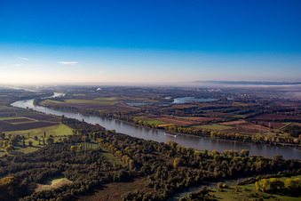 Vue aérienne de Lac d'Argent à le quartier Roxheim in Bobenheim-Roxheim dans le département Rhénanie-Palatinat, Allemagne