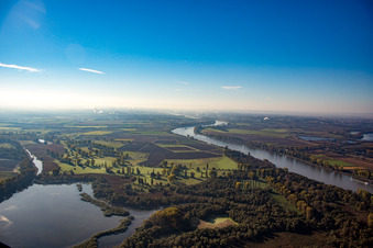 Vue aérienne de Réserve naturelle Lampertheim Althrein et Biedensand à Lampertheim dans le département Hesse, Allemagne