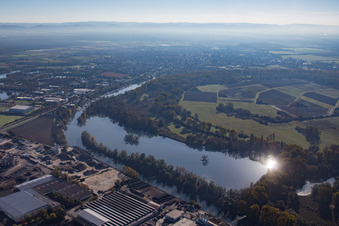 Vue aérienne de Réserve naturelle Lampertheim Althrein et Biedensand à Lampertheim dans le département Hesse, Allemagne