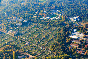 Vue aérienne de Parcelles de l'association de jardins familiaux Hagsfelder Allee eV à le quartier Oststadt in Karlsruhe dans le département Bade-Wurtemberg, Allemagne