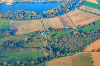 Vue aérienne de Parapente au-dessus des prairies rhénanes sur le Vieux Rhin à le quartier Eggenstein in Eggenstein-Leopoldshafen dans le département Bade-Wurtemberg, Allemagne