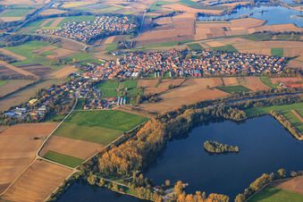 Vue aérienne de Vue d'ensemble du village sur le Vieux Rhin depuis le sud à Neupotz dans le département Rhénanie-Palatinat, Allemagne