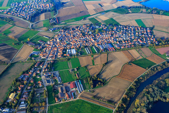 Vue aérienne de Vue d'ensemble du village sur le Vieux Rhin depuis le sud à Neupotz dans le département Rhénanie-Palatinat, Allemagne