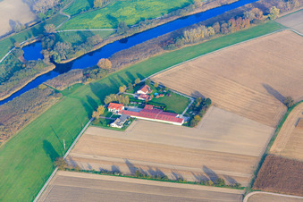 Vue aérienne de Aussiedlerhof sur le Vieux Rhin près de Neupotz à Neupotz dans le département Rhénanie-Palatinat, Allemagne