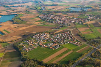 Quartier Hardtwald in Neupotz dans le département Rhénanie-Palatinat, Allemagne vue du ciel