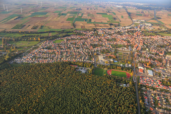 Vue aérienne de Terrains de sport et chênes clairs en lisière de forêt à Rülzheim dans le département Rhénanie-Palatinat, Allemagne