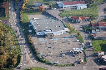 Photographie aérienne de Soultz-sous-Forêts dans le département Bas Rhin, France