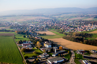 Vue aérienne de Champs agricoles et terres agricoles à Soultz-sous-Forêts dans le département Bas Rhin, France