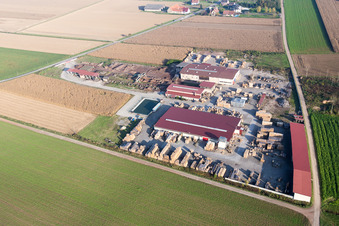 Vue aérienne de Site de la scierie et de l'usine de palettisation KOCHER à Niederrœdern dans le département Bas Rhin, France