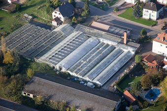 Enregistrement par drone de Niederrœdern dans le département Bas Rhin, France