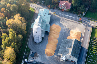 Vue aérienne de Montagnes de maïs dans la cour du silo haut et du stockage de grains avec les entrepôts adjacents du Comptoir agricole - NIEDERROEDERN à Niederrœdern dans le département Bas Rhin, France