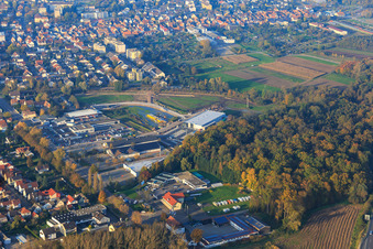 Vue aérienne de Zone commerciale sur la Lauterburger Straße à Kandel dans le département Rhénanie-Palatinat, Allemagne