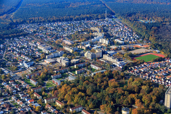 Vue aérienne de Quartier du Dorschberg avec IGS Wörth : école polyvalente Carl Benz, école primaire du Dorschberg, Europa Gymnasium Wörth et hôtel de ville Wörth am Rhein à Wörth am Rhein dans le département Rhénanie-Palatinat, Allemagne