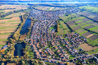 Vue aérienne de Vue du village de Tankgraben depuis l'ouest à Neuburg am Rhein dans le département Rhénanie-Palatinat, Allemagne