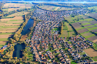 Vue aérienne de Vue du village de Tankgraben depuis l'ouest à Neuburg am Rhein dans le département Rhénanie-Palatinat, Allemagne