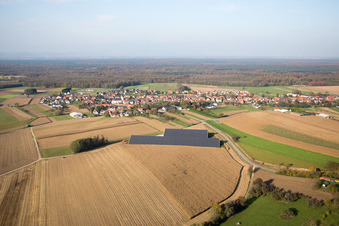 Vue aérienne de Niederlauterbach dans le département Bas Rhin, France