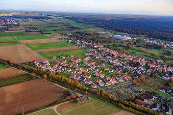 Vue aérienne de Dans le champ inférieur à le quartier Schaidt in Wörth am Rhein dans le département Rhénanie-Palatinat, Allemagne