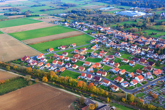 Vue aérienne de Dans le champ inférieur à le quartier Schaidt in Wörth am Rhein dans le département Rhénanie-Palatinat, Allemagne