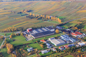 Vue aérienne de Domaine viticole Kleine Kalmit à Ilbesheim bei Landau dans le département Rhénanie-Palatinat, Allemagne