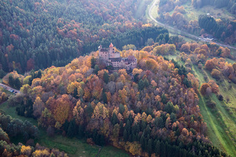 Photographie aérienne de Erlenbach, château de Berwartstein à Erlenbach bei Dahn dans le département Rhénanie-Palatinat, Allemagne