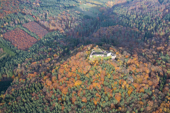 Vue aérienne de Ruines et vestiges des murs de l'ancien complexe du château de Lindelbrunn à Vorderweidenthal dans le département Rhénanie-Palatinat, Allemagne