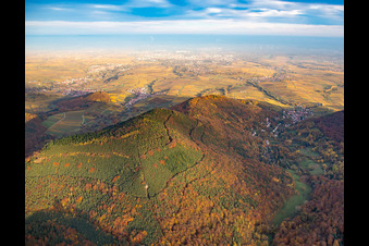 Vue aérienne de Birnbachtal à Leinsweiler dans le département Rhénanie-Palatinat, Allemagne