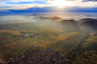 Vue aérienne de Vignobles aux couleurs automnales dans la brume du soir de la forêt du Palatinat à Ilbesheim bei Landau dans le département Rhénanie-Palatinat, Allemagne