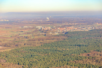 Vue aérienne de Vue de la ville derrière la forêt à Rülzheim dans le département Rhénanie-Palatinat, Allemagne