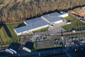 Vue aérienne de Locaux de l'usine de Plastic Omnium Composites GmbH Kandel et Thermo Fisher Scientific à le quartier Minderslachen in Kandel dans le département Rhénanie-Palatinat, Allemagne
