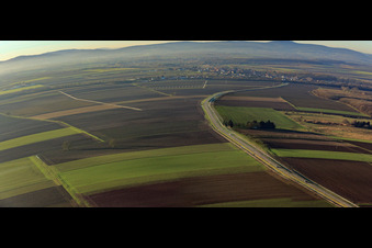 Vue aérienne de L548 vers Winden à le quartier Minderslachen in Kandel dans le département Rhénanie-Palatinat, Allemagne