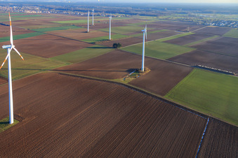 Vue d'oiseau de Parc éolien de Minfeld à Minfeld dans le département Rhénanie-Palatinat, Allemagne