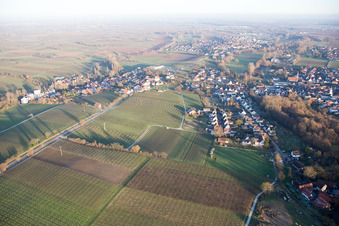 Quartier Ingenheim in Billigheim-Ingenheim dans le département Rhénanie-Palatinat, Allemagne vue du ciel