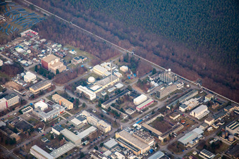 Photographie aérienne de KIT Nord à le quartier Leopoldshafen in Eggenstein-Leopoldshafen dans le département Bade-Wurtemberg, Allemagne