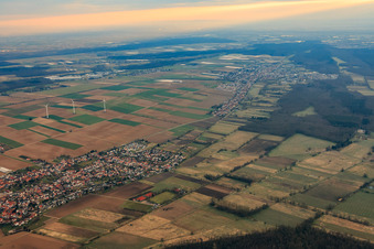 Vue aérienne de Sentier de bétail en hiver depuis l'ouest à Minfeld dans le département Rhénanie-Palatinat, Allemagne