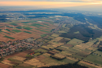 Vue aérienne de Sentier de bétail en hiver depuis l'ouest à Minfeld dans le département Rhénanie-Palatinat, Allemagne