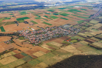 Vue aérienne de Vue d'ensemble du village en hiver depuis le sud-ouest à Minfeld dans le département Rhénanie-Palatinat, Allemagne
