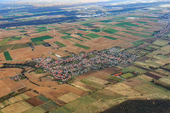 Vue aérienne de Vue d'ensemble du village en hiver depuis le sud-ouest à Minfeld dans le département Rhénanie-Palatinat, Allemagne