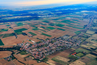Photographie aérienne de Vue d'ensemble du village en hiver depuis le sud-ouest à Minfeld dans le département Rhénanie-Palatinat, Allemagne
