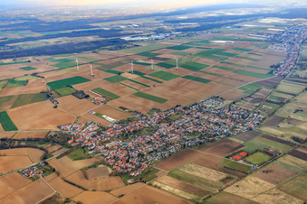 Vue oblique de Vue d'ensemble du village en hiver depuis le sud-ouest à Minfeld dans le département Rhénanie-Palatinat, Allemagne