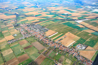 Vue aérienne de Vue d'ensemble du village en hiver depuis l'est à Freckenfeld dans le département Rhénanie-Palatinat, Allemagne
