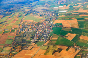 Vue aérienne de Vue d'ensemble du village en hiver depuis l'est à Steinfeld dans le département Rhénanie-Palatinat, Allemagne