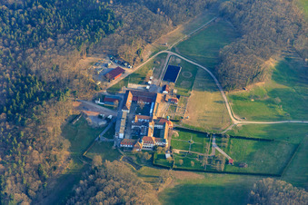 Photographie aérienne de Pension pour chevaux au monastère de Liebfrauenberg à Bad Bergzabern dans le département Rhénanie-Palatinat, Allemagne