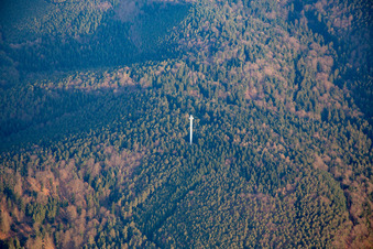 Vue aérienne de Tour Bismarck à Bad Bergzabern dans le département Rhénanie-Palatinat, Allemagne