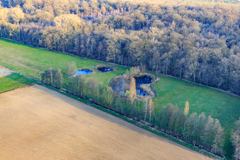 Vue aérienne de Biotope d'Altbach en hiver à le quartier Minderslachen in Kandel dans le département Rhénanie-Palatinat, Allemagne