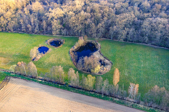 Biotope d'Altbach en hiver à le quartier Minderslachen in Kandel dans le département Rhénanie-Palatinat, Allemagne d'en haut