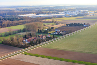 Vue aérienne de Quartier de Höfen en hiver du sud-ouest à le quartier Minderslachen in Kandel dans le département Rhénanie-Palatinat, Allemagne