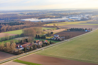 Photographie aérienne de Quartier de Höfen en hiver du sud-ouest à le quartier Minderslachen in Kandel dans le département Rhénanie-Palatinat, Allemagne