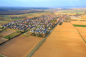 Vue aérienne de Vue d'ensemble du village en hiver sur la B427 depuis l'est à Minfeld dans le département Rhénanie-Palatinat, Allemagne